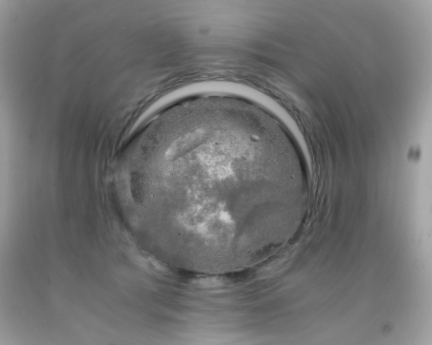 X0000091860417200709051212