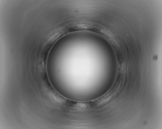 X0000091860418200709051212