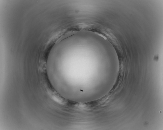 X0000091860419200709051212