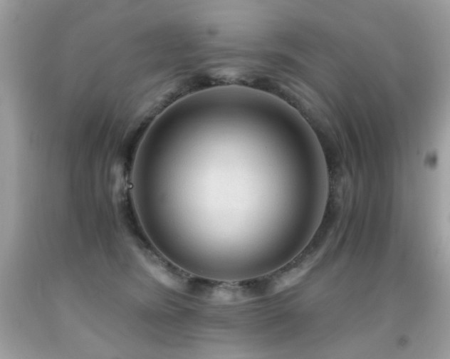 X0000091860420200709051212