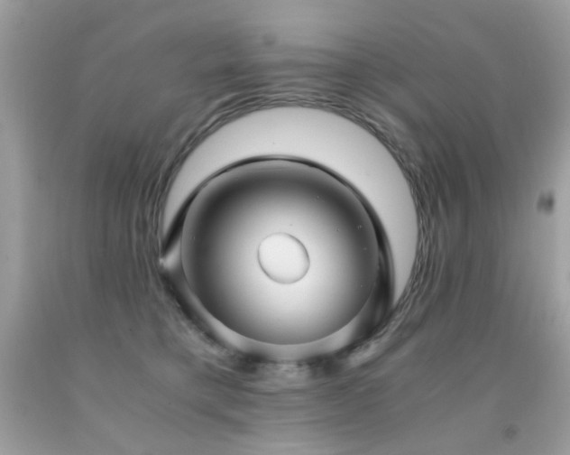 X0000091860421200709051212