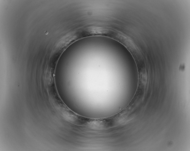 X0000091860422200709051212