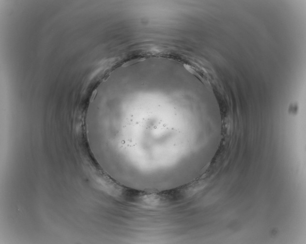 X0000091860423200709051212