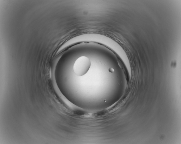 X0000091860425200709051212