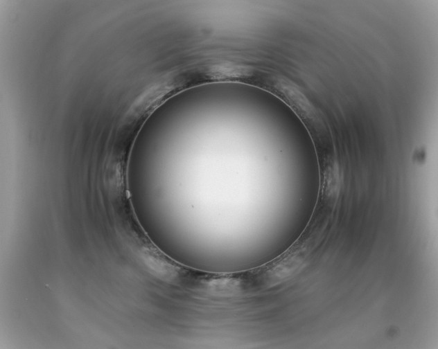 X0000091860426200709051212