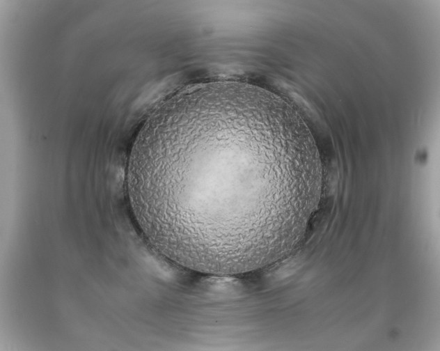 X0000091860427200709051212