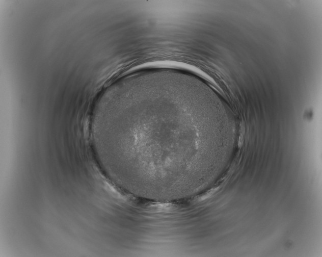 X0000091860428200709051212