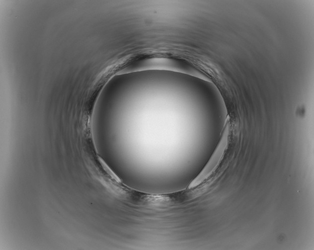 X0000091860429200709051212