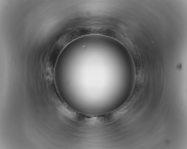 X0000091860430200709051212