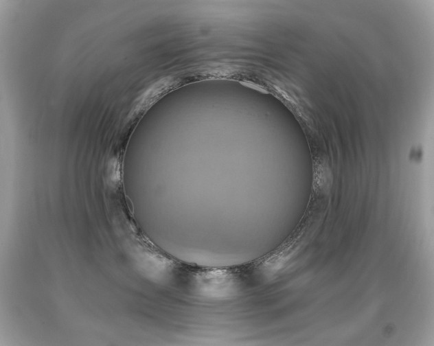 X0000091860431200709051212