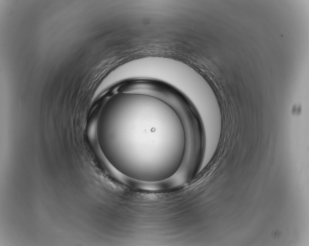 X0000091860432200709051212