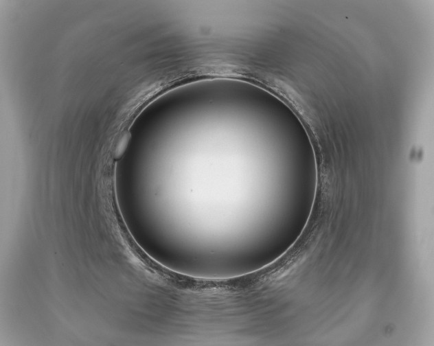 X0000091860433200709051211