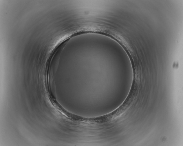 X0000091860434200709051211