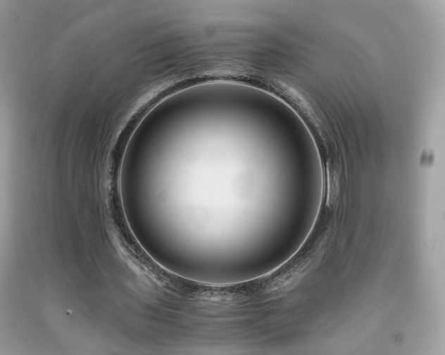 X0000091860435200709051211