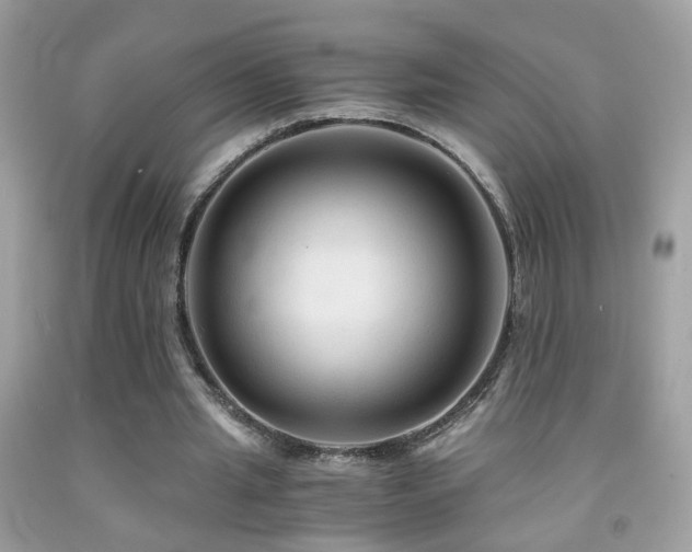 X0000091860437200709051211