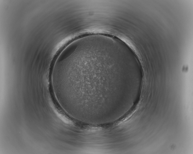 X0000091860438200709051211