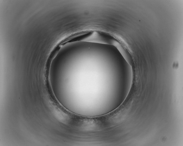 X0000091860439200709051211