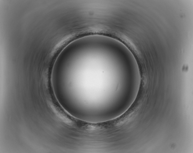 X0000091860442200709051211