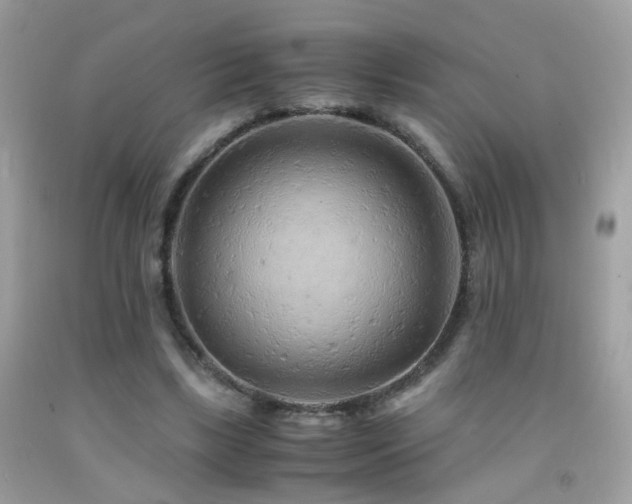 X0000091860443200709051211