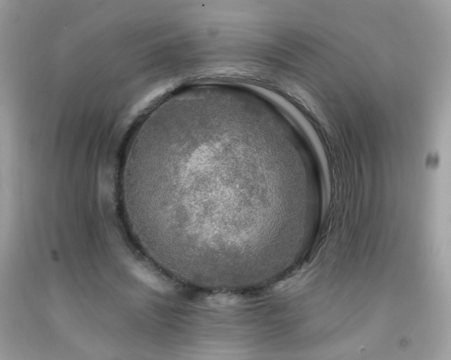 X0000091860444200709051211