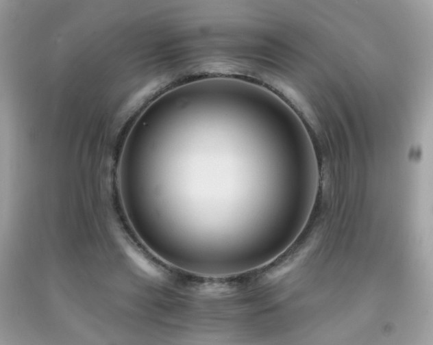 X0000091860445200709051212