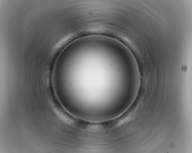 X0000091860446200709051212