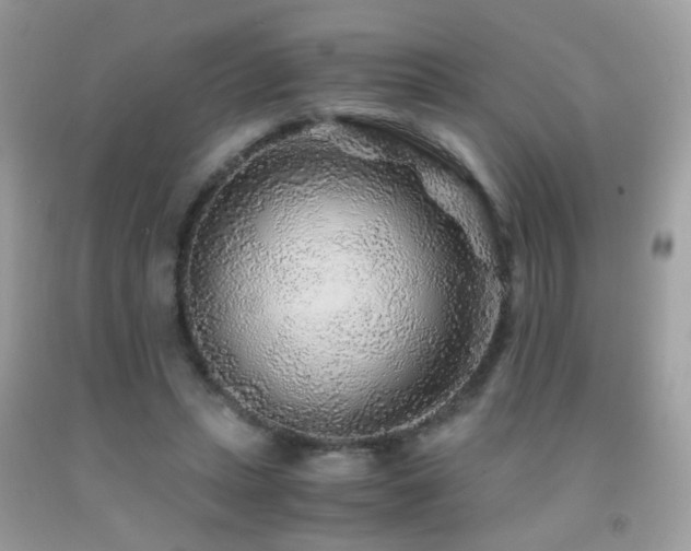 X0000091860447200709051212