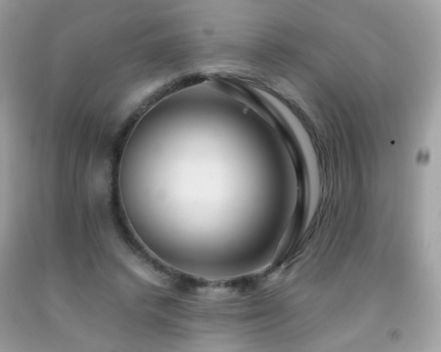 X0000091860448200709051212