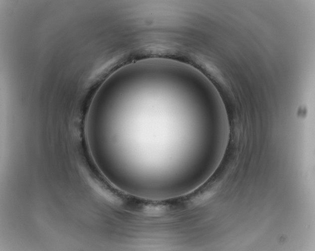 X0000091860450200709051212