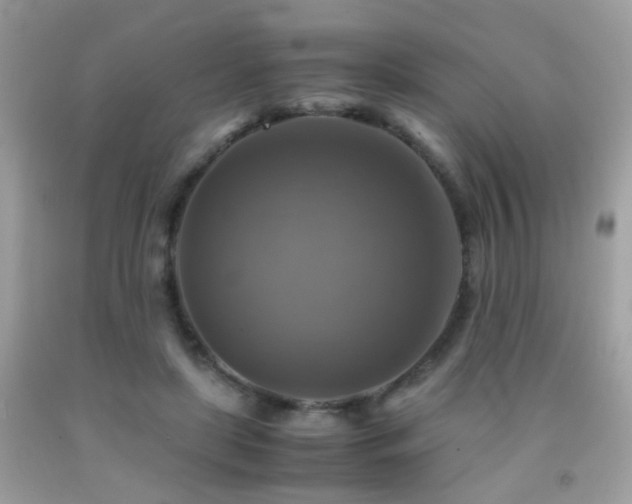 X0000091860451200709051212