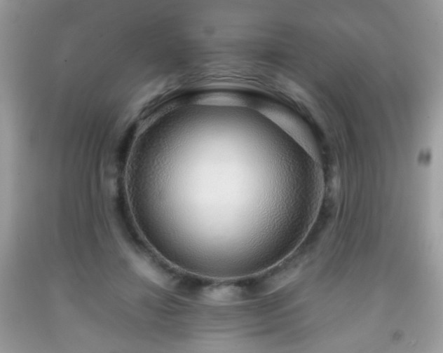 X0000091860452200709051212