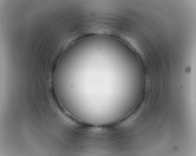 X0000091860453200709051212