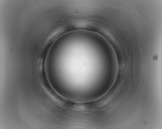 X0000091860454200709051212