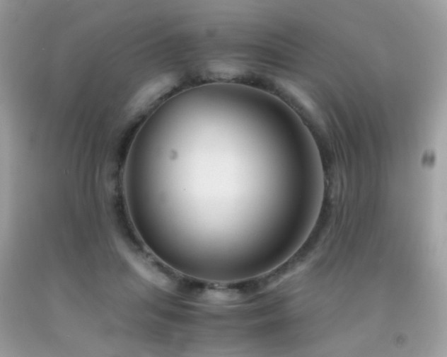 X0000091860455200709051212