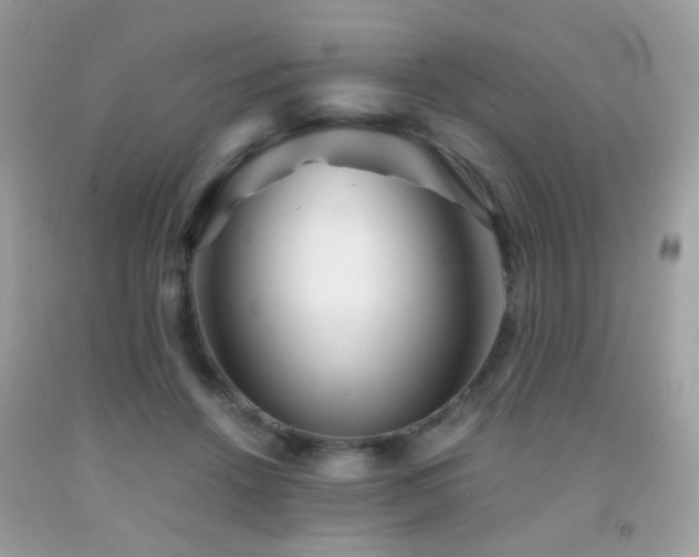 X0000091860456200709051212