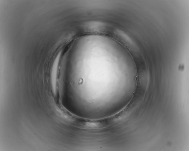 X0000091860457200709051212