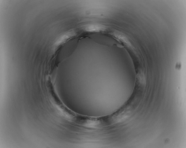 X0000091860458200709051212