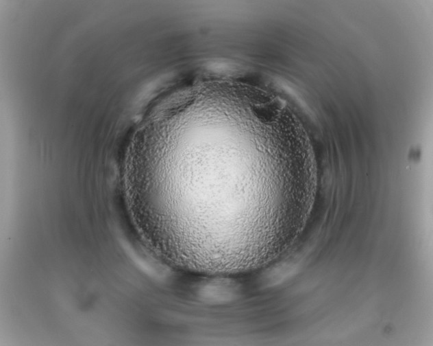 X0000091860459200709051212