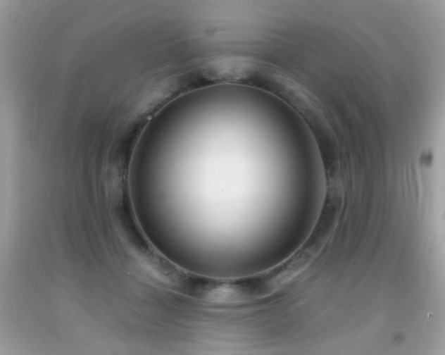 X0000091860460200709051212