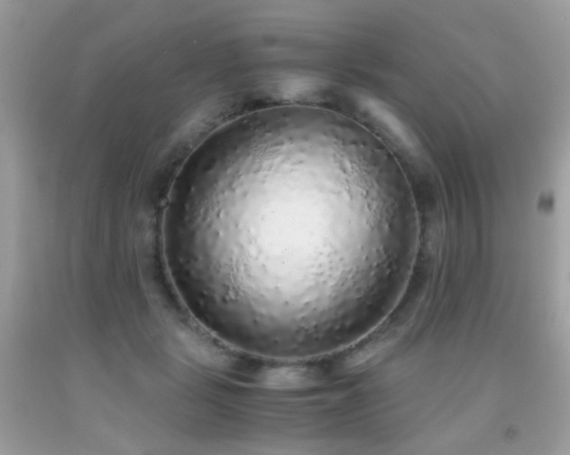 X0000091860461200709051212