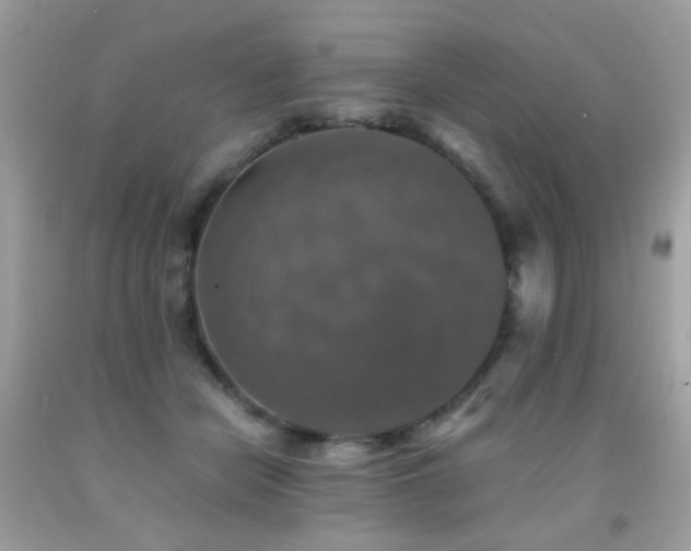 X0000091860462200709051212