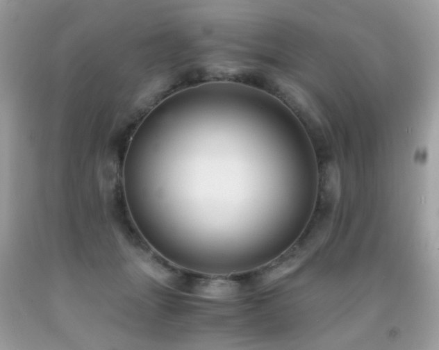 X0000091860463200709051212