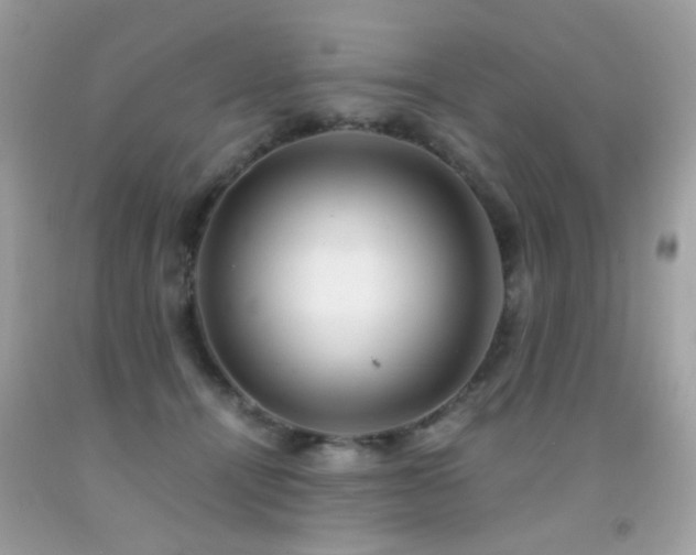 X0000091860464200709051212