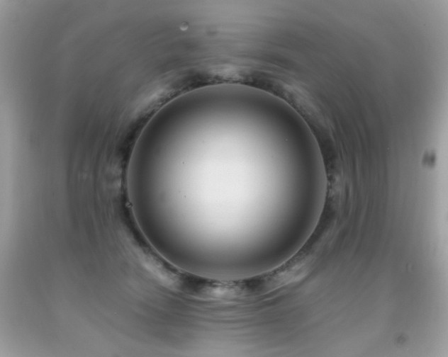 X0000091860466200709051212