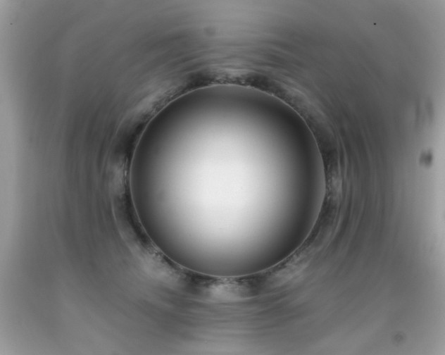 X0000091860468200709051212