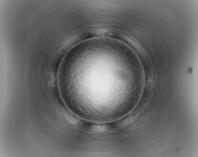 X0000091860469200709051212