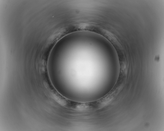 X0000091860470200709051212