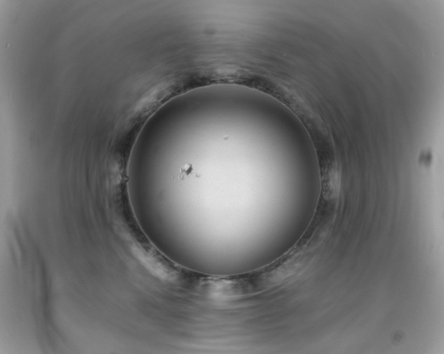 X0000091860472200709051212