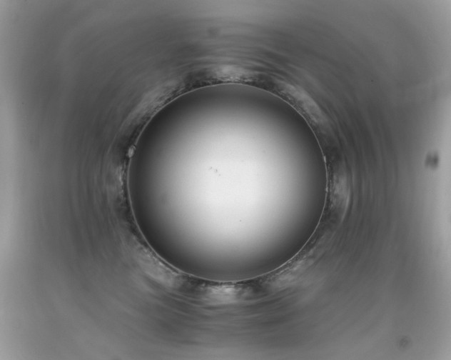 X0000091860473200709051212