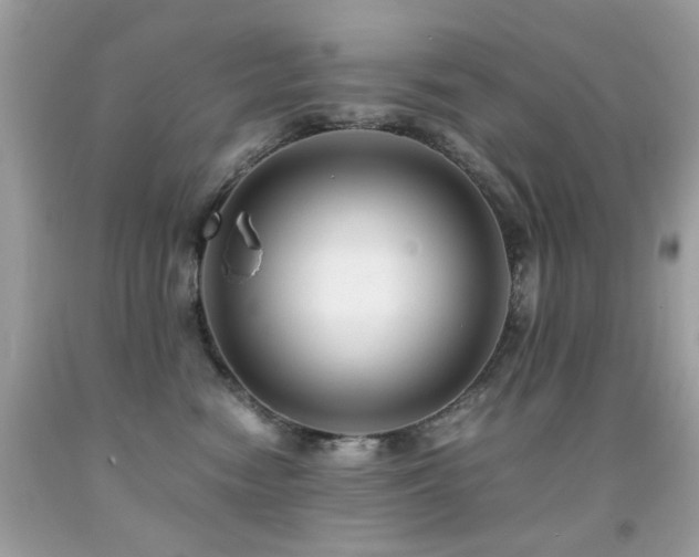 X0000091860474200709051212